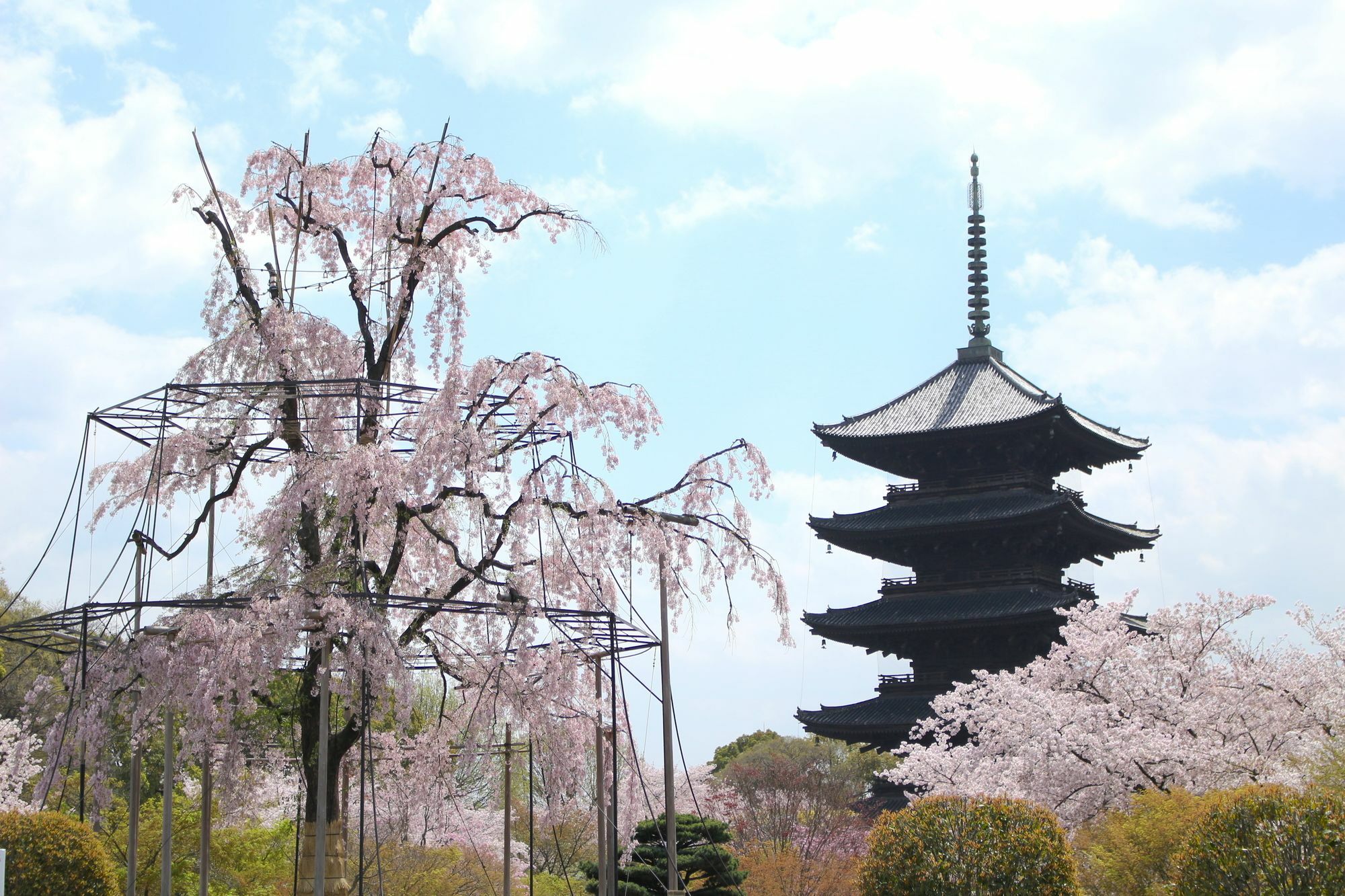 Stay Sakura Kyoto Toji West II 外观 照片